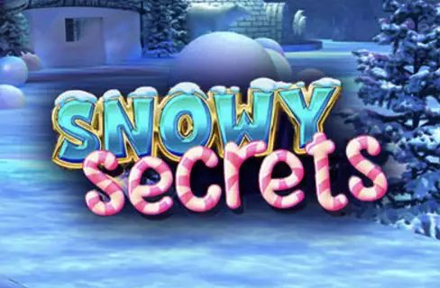 Snowy Secrets